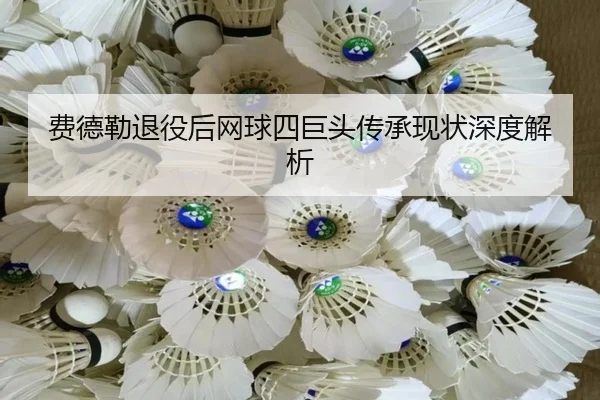 fei-de-lei-tui-yi-hou-wang-qiu-si-ju-tou-chuan-cheng-xian-zhuang-shen-du-jie-xi-2-182.jpg